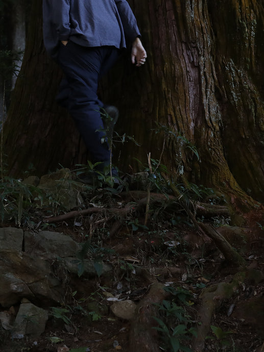 Alpha!  pants   - （  polartec alpha /  偽シルクコットン )