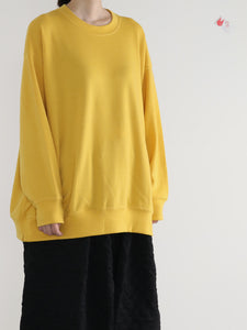 Washable!  Crew Neck Long Sleeve　 -    （ Special Touch Wool Ponch )
